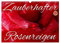 Zauberhafter Rosenreigen (Wandkalender 2025 DIN A3 quer), CALVENDO Monatskalender