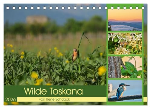 Wilde Toskana - von René Schaack (Tischkalender 2026 DIN A5 quer), CALVENDO Monatskalender: Fotoreise ins Herz Italiens (CALVENDO Orte)