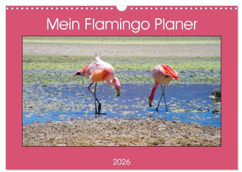 Mein Flamingo Planer (Wandkalender 2026 DIN A3 quer), CALVENDO Monatskalender: Das perfekte Geschenk für alle Flamingo Fans - Kalender Planer und Organizer (CALVENDO Tiere)