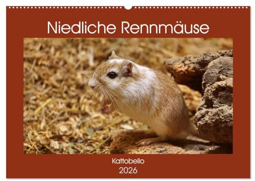 Niedliche Rennmäuse (Wandkalender 2026 DIN A2 quer), CALVENDO Monatskalender: Possierliche Heimtiere (CALVENDO Tiere)