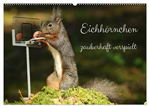 Eichhörnchen - zauberhaft verspielt (Wandkalender 2026 DIN A2 quer), CALVENDO Monatskalender: Zauberhafte Aufnahmen von verspielten Eichhörnchen. (CALVENDO Tiere)