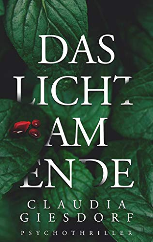 Das Licht am Ende: Psychothriller