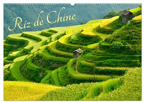 Riz de Chine (Wandkalender 2025 DIN A2 quer), CALVENDO Monatskalender