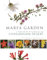 Marfa Garden: A Field Guide to Plants of the Chihuahuan Desert