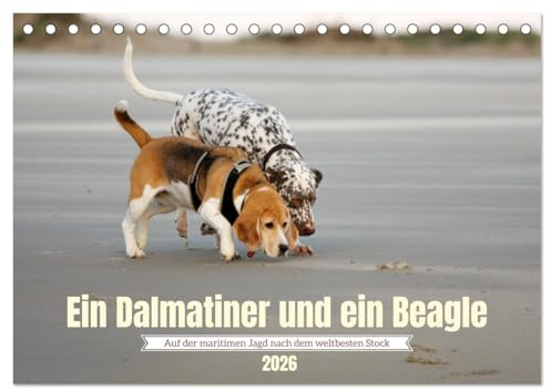 Ein Dalmatiner und ein Beagle - Auf der maritimen Jagd nach dem weltbesten Stock (Tischkalender 2026 DIN A5 quer), CALVENDO Monatskalender: Sie lieben Hunde und das Meer? Ich auch! (CALVENDO Tiere)