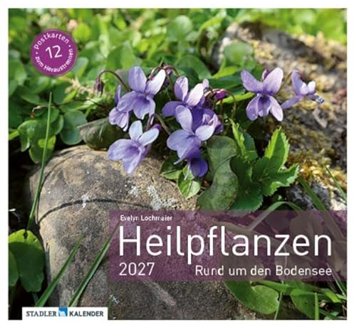 Heilpfanzen rund um den Bodensee 2027: Postkarten-Tischkalender