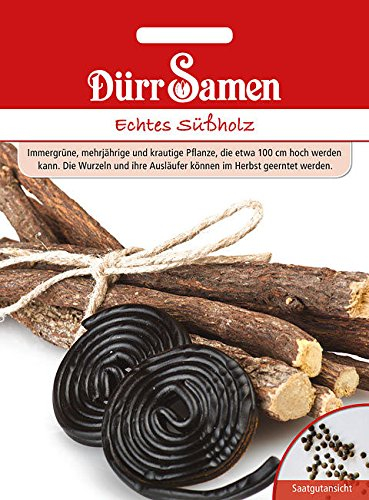 Echtes Süßholz, Glycyrrhiza glaba, ca. 30 Korn