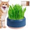 Firulab Cat Grass Growing Kit, Cat Grass Bowl Planter Tray, Catnip and Bowl Cat Grass Kit with Seeds, Soil Kitten Grass Growing Kit for Cat Snacks