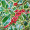 200 pezzi semi di piante di agrifoglio - piante da giardino per donne, Ilex aquifolium, alberi piante esotiche piante da giardino giardino di erbe piante perenni