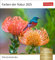 Farben der Natur Postkartenkalender 2025 - Wochenkalender mit 53 Postkarten: Farbenprächtige Naturaufnahmen in einem Fotokalender im Postkartenformat. Tischkalender zum Aufstellen mit 53 Postkarten