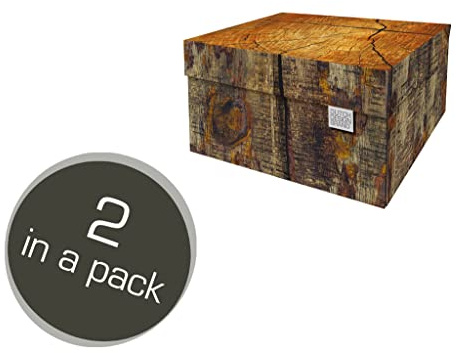 DDB Dutch Design Brand Small Storage Box with Lid - 2 Storage Boxes - FSC Certified Recyclable Cardboard (Size: 27.8 x 20.6 x 14 cm) (Tree Trunk)
