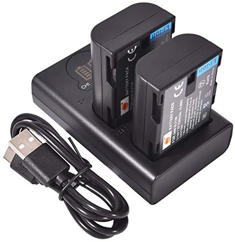 DSTE 2 x DMW-BLF19E Ersatzakku + Dual-USB-Ladegerät mit LCD-Display, kompatibel mit DMW-BLF19 und Panasonic Lumix DMC-GH3, DMC-GH3GK, DMC-GH3H, DMC-GH3HGK, DMC-GH3KBODY, DMC-GH4H, DMC-GH4 Kamera