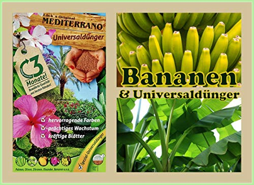 Mediterrano Bananenbaum Dünger – Optimale Nährstoffversorgung für gesunde, kräftige Bananenbäume! 3 Kg Original Mediterrano