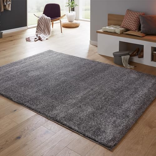 Astra Hochwertiger Teppich Wohnzimmer, Schlafzimmer - Flauschiger Hochflorteppich weich - Moderne Muster - Schlichte Designs - Teppich Anthrazit 160 x 230cm