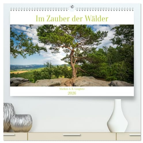 Im Zauber der Wälder (hochwertiger Premium Wandkalender 2026 DIN A2 quer), Kunstdruck in Hochglanz: Zauberhafte Wälder Mitteleuropas (CALVENDO Natur)