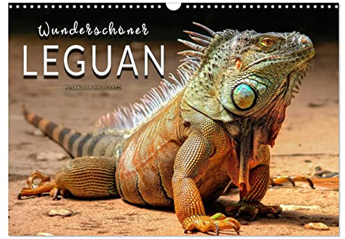 Wunderschöner Leguan (Wandkalender 2026 DIN A3 quer), CALVENDO Monatskalender: Eindrucksvolle Bilder der imposanten Schuppenkriechtiere. (CALVENDO Tiere)