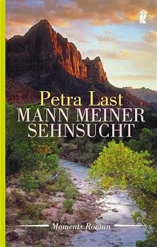 Mann meiner Sehnsucht (Ullstein Taschenbuch)