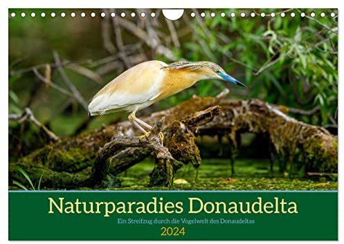 Naturparadies Donaudelta (Wandkalender 2024 DIN A4 quer), CALVENDO Monatskalender: Die Vogelwelt im Naturparadies des Donaudeltas in Rumänien (CALVENDO Tiere)