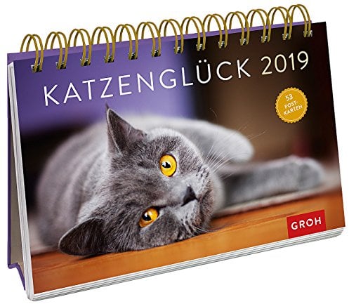 Katzenglück 2019: PostkartenKalender mit separatem Wochenkalendarium