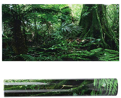 Atyhao Aquarium Poster, Rainforest Style Background Poster Decorative Fish Tank Terrarium Background Poster Thicken PVC Adhesive Static Cling Wallpaper Sticker(61x30cm)