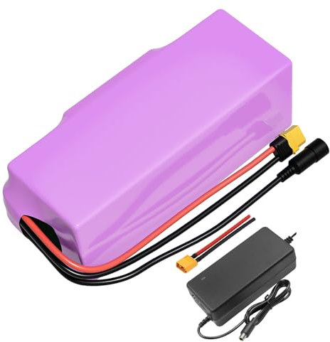 Avec chargeur 14 Ah 7S4P 24 V Batterie E-Bike Vélo électrique Li-ion Personnalisable 130 x 90 x 70 mm