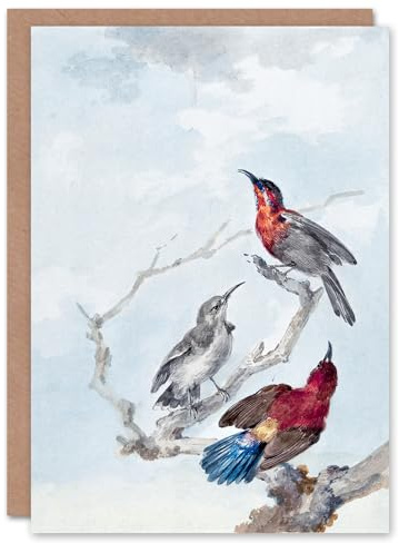 Artery8 Aert Schouman Art Card Three Crimson Sunbirds Watercolour