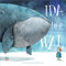 Ida und der fliegende Wal: Bilderbuch
