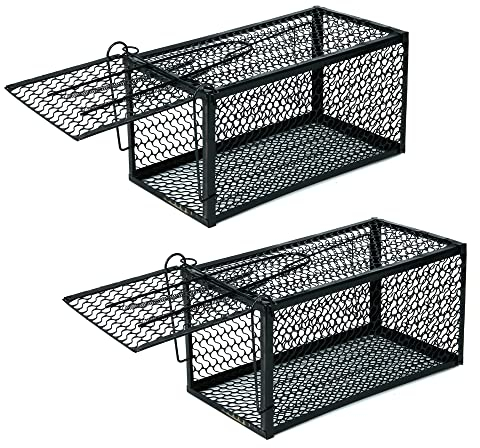 ZENO Rat Cage Trap | Catch Live Mice & Rats | Humane Mouse Traps & Rat Traps | Great for Indoors & Outdoors | Home & Animal Friendly Reusable Rat | Mouse | Squirrel | Mole | Rodent Solution | Large