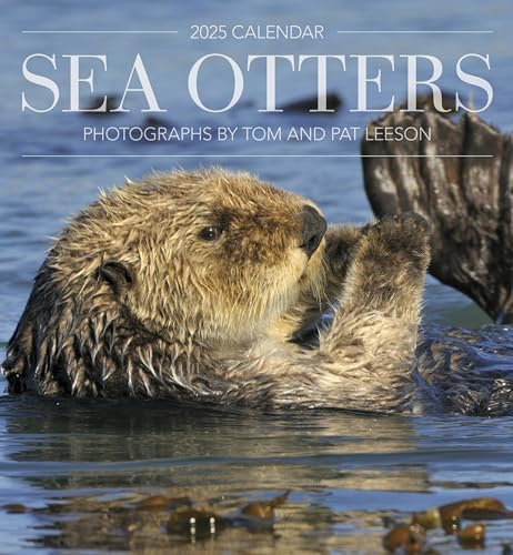 Sea Otters: Photographs by Tom and Pat Leeson 2025 Wall Calendar
