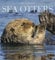 Sea Otters: Photographs by Tom and Pat Leeson 2025 Wall Calendar