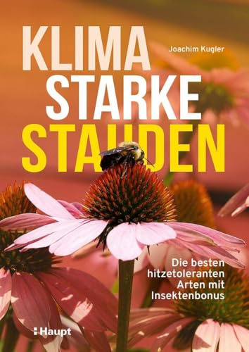 Klimastarke Stauden: Die besten hitzetoleranten Arten mit Insektenbonus