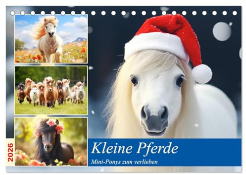 Kleine Pferde. Mini-Ponys zum verlieben (Tischkalender 2026 DIN A5 quer), CALVENDO Monatskalender: Zauberhafte Wintzlinge erobern die Herzen! (CALVENDO Tiere)