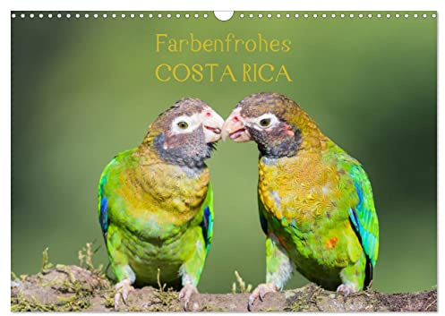 Farbenfrohes Costa Rica (Wandkalender 2026 DIN A3 quer), CALVENDO Monatskalender: Erleben Sie faszinierende Aufnahmen aus Costa Rica! (CALVENDO Natur)