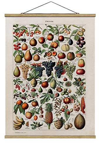 Stoffbild Posterleisten Vintage Lehrtafel Früchte Hochformat 4:3 66.4x50cm Eiche
