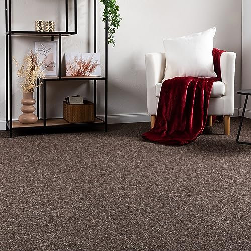 Steffensmeier Schlingen Teppichboden Meddon XL Meterware | Auslegware für Flur Büro | 1m 2m 3m 4m 5m breit! | Braun, Größe: 200x400 cm