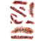 Zombie Scars Tattoos Bloody Scar with Fake Blood Costume Makeup Halloween Decorations Party Favor