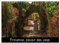 Provence, plaisir des yeux (Wandkalender 2024 DIN A4 quer), CALVENDO Monatskalender: Un certain regard sur la variété des paysages et la flore de Provence