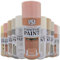 AlezyB - 1 x Oriental Pink Chalk Finish Spray Paint 400ml - Furniture Spray Paint Aerosol for Smooth Touch Matt Finish Office and Home