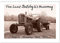 Von Lanz Bulldog bis Hanomag Traktor - Klassiker 1926 - 1975 (Wandkalender 2025 DIN A4 quer), CALVENDO Monatskalender: Sie sehen liebevoll restaurierte Traktoren. (CALVENDO Mobilitaet)