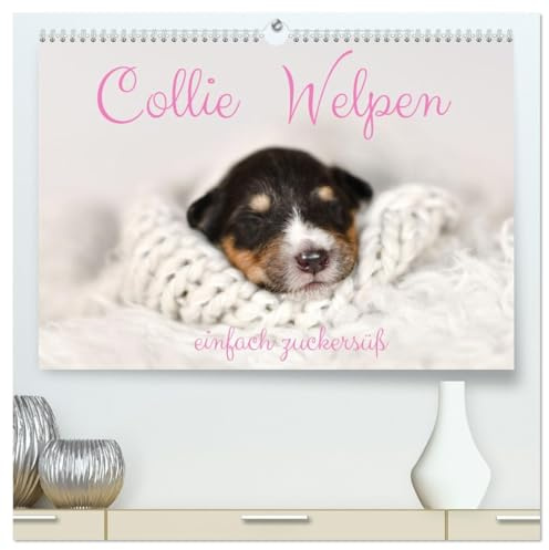 Collie Welpen einfach zuckersüß (hochwertiger Premium Wandkalender 2026 DIN A2 quer), Kunstdruck in Hochglanz: Wundervolle Fotografien von schlafenden Colliewelpen (CALVENDO Tiere)