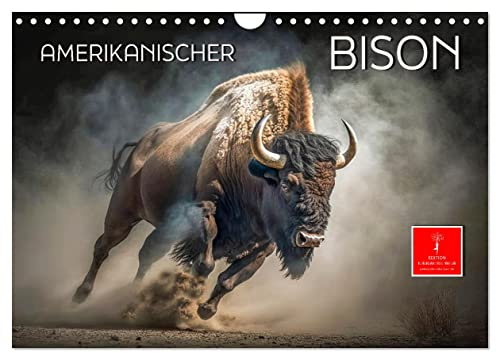 Amerikanischer Bison (Wandkalender 2026 DIN A4 quer), CALVENDO Monatskalender: Der Amerikanische Bison - seit 2016 Nationaltier der USA (CALVENDO Tiere)