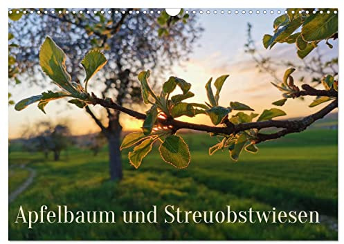 Apfelbaum und Streuobstwiesen (Wandkalender 2026 DIN A3 quer), CALVENDO Monatskalender: Der Apfel ist gesund und prägt ganze Landschaften (CALVENDO Natur)