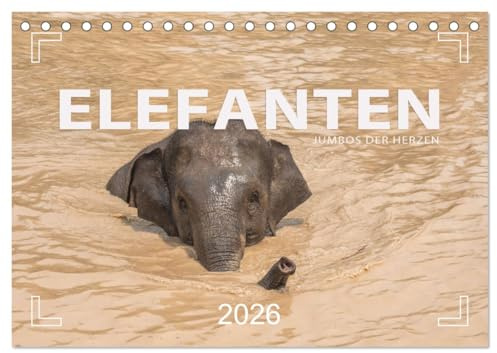 ELEFANTEN Jumbos der Herzen (Tischkalender 2026 DIN A5 quer), CALVENDO Monatskalender: Der Asiatische Elefant in Südostasien (CALVENDO Tiere)