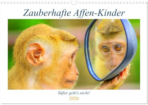 Zauberhafte Affenkinder. Süßer geht´s nicht! (Wandkalender 2026 DIN A3 quer), CALVENDO Monatskalender: Niedliche kleine Wichtel zum Verlieben! (CALVENDO Tiere)