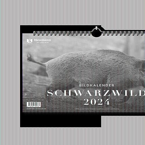 Schwarzwild 2024: Themenkalender