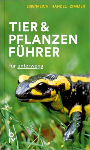 Tier- & Pflanzenführer: 900 Arten einfach bestimmen - der kompakte Naturführer für unterwegs