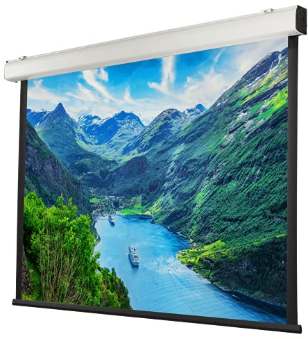 celexon Expert XL Motor-Leinwand 175 | 350x265 cm 4:3 | elektrische 8K, Full-HD Installations-Leinwand für jahrelange Projektionsfreude mit Ihrem Beamer | geeignet zur Decken- und Wand-Montage
