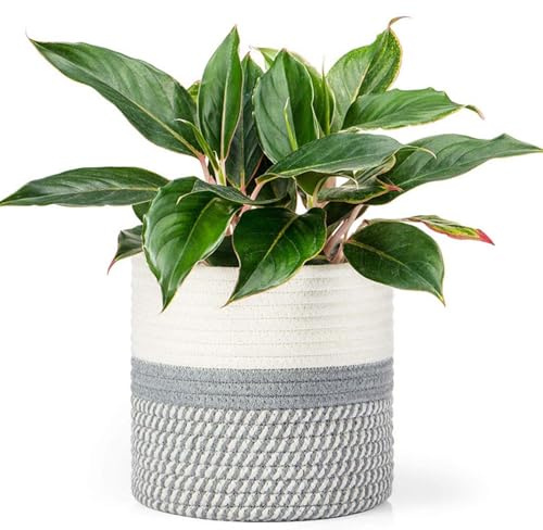 KMERCE Blumentopf Korb geflochten,Pflanzenkorb Indoor,übertöpfe für zimmerpflanzen,blumenkorb geflochten mit Griffen, übertopf Korb Boho, pflanzentopf 20 cm Durchmesser
