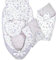 EAQ Babynest Nestchen Baby Weiches Atmungsaktives baby bett für Neugeborene Geschenk 100% Baumwolle