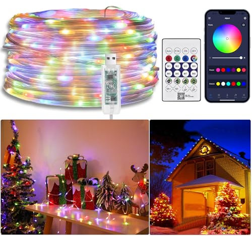 20M RGBIC Lichterkette Mit Farbwechsel, Wasserdichte LED Lichterkette Mit IR Fernbedienung & APP, USB Musiksynchronisation, Flexibler Lichtschlauch für Garten, Balkon, Weihnachten, Party
